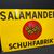 Salamander Schuhfabrik (grosses abgekantetes Emailleschild um 1950)