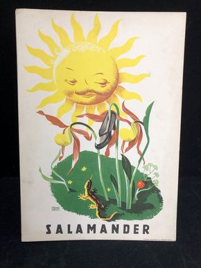 Salamander Werbepappe (30 x 21 cm) von Franz Weiss - Schuhblume Motiv (50er Jahre / selten)